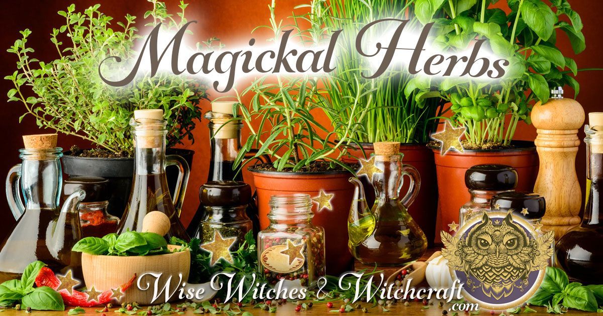 magical herbs