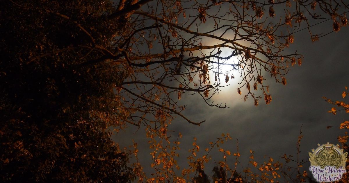 esbat reflections for full moon in november 1200x630